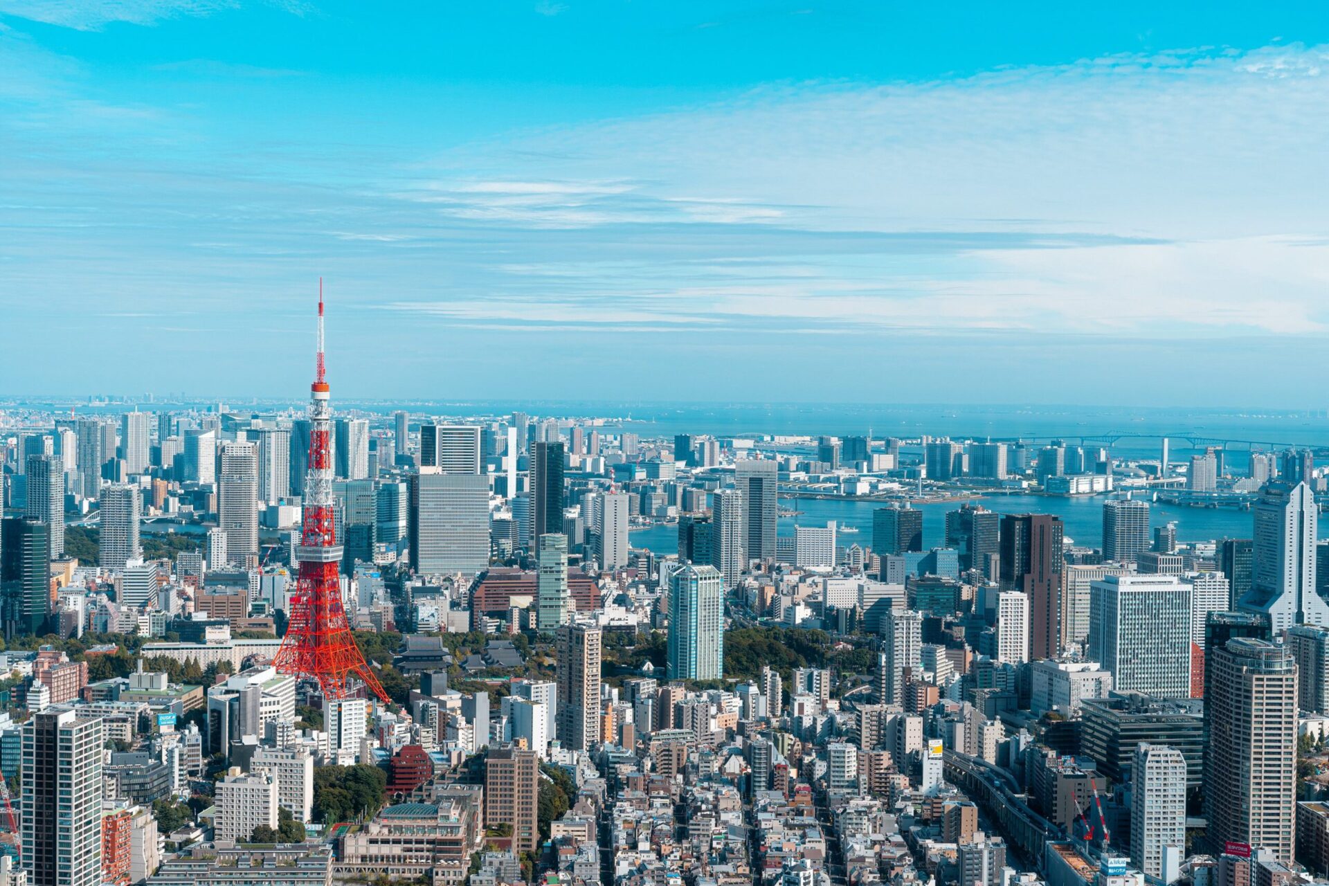 東京の都会の風景